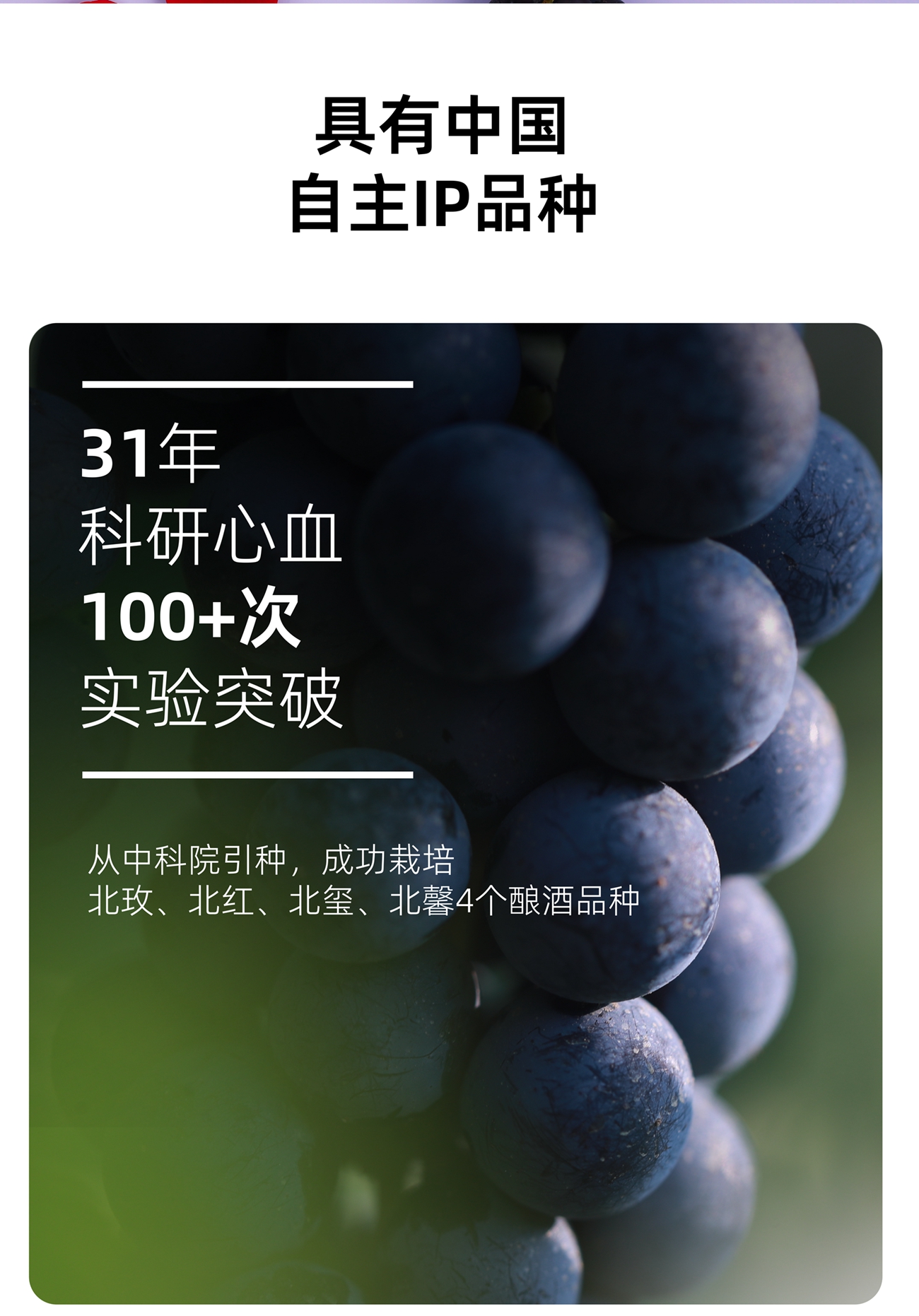 1712669825416406.jpg 1-23042523261L04.jpg